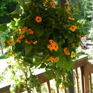 Meet your Posher, Kristyn